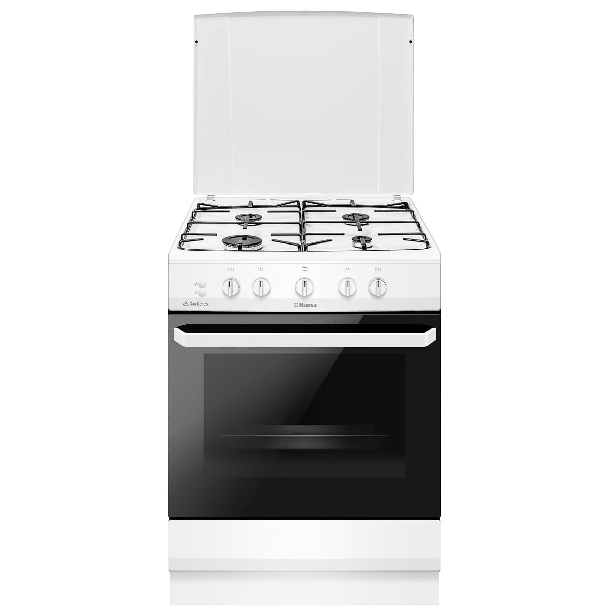 Aragaz Gaz Hansa FCGW61009