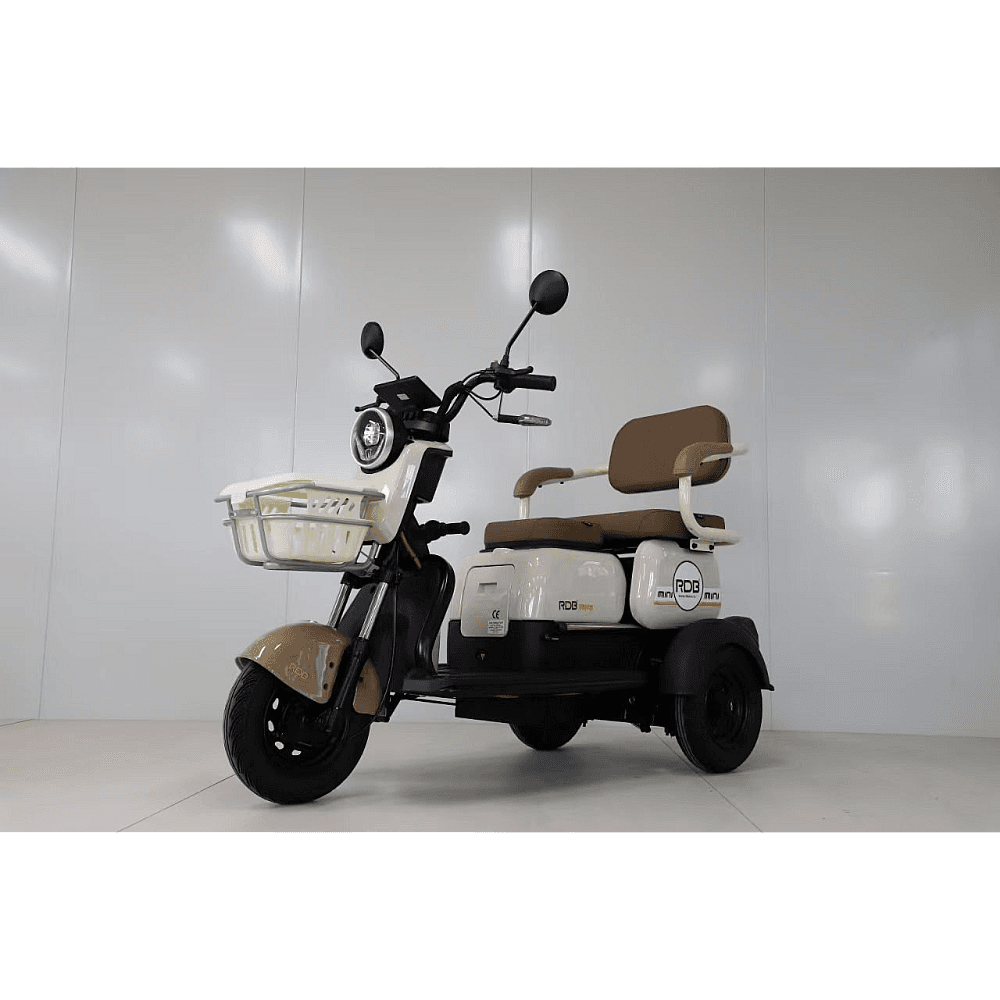 TRICICLU ELECTRIC RDB MINI