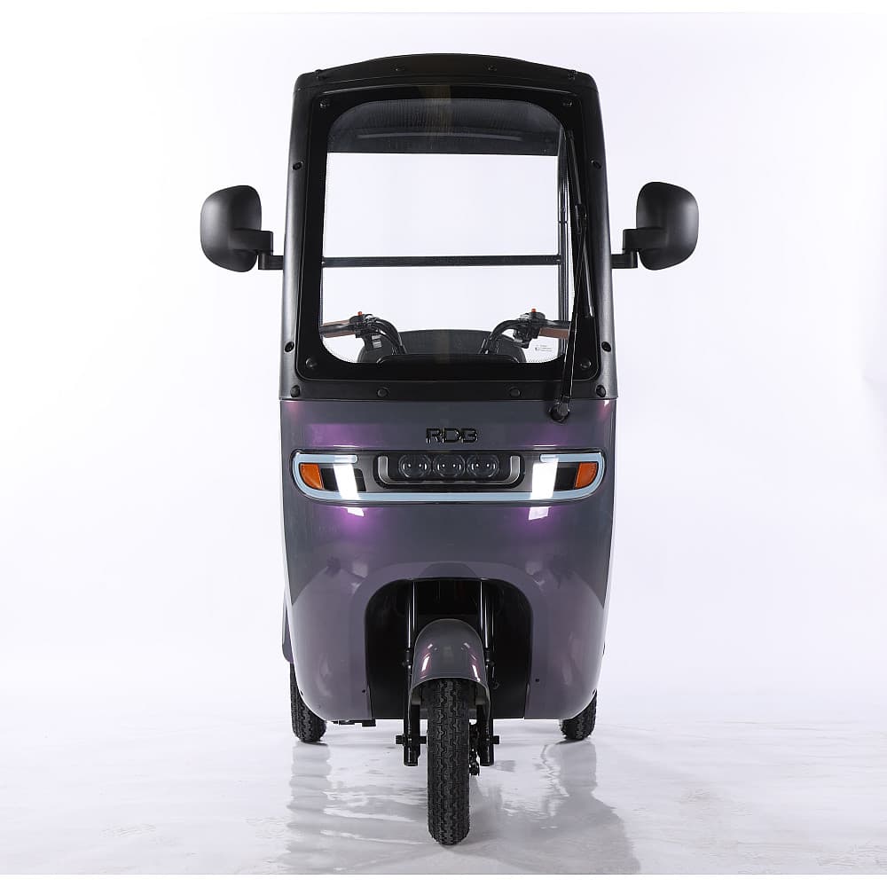 Triciclu Electric RDB Panda 5