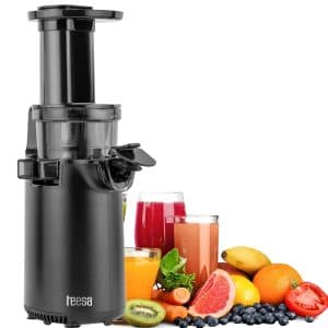 Storcator de fructe Slow Juicer Teesa TSA3233