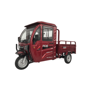 TRICICLU ELECTRIC RDB MAX-KLASS CU GHIDON